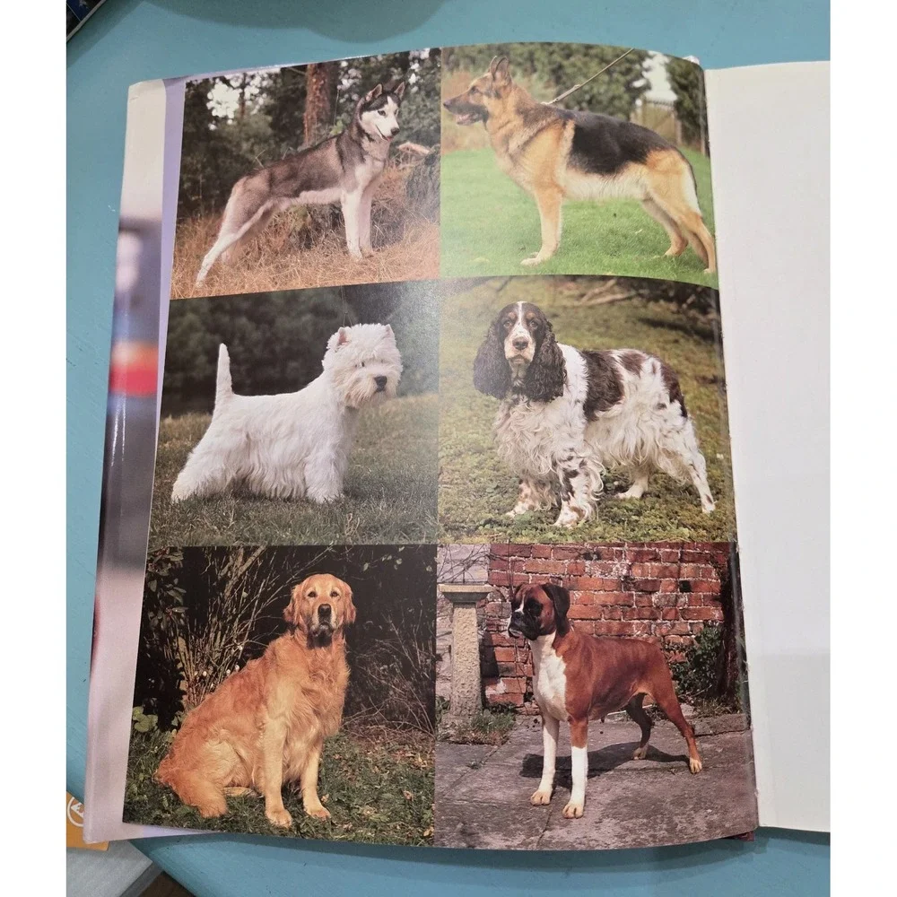 Understanding Your Dog. Hardcover  176 Page‎ Book